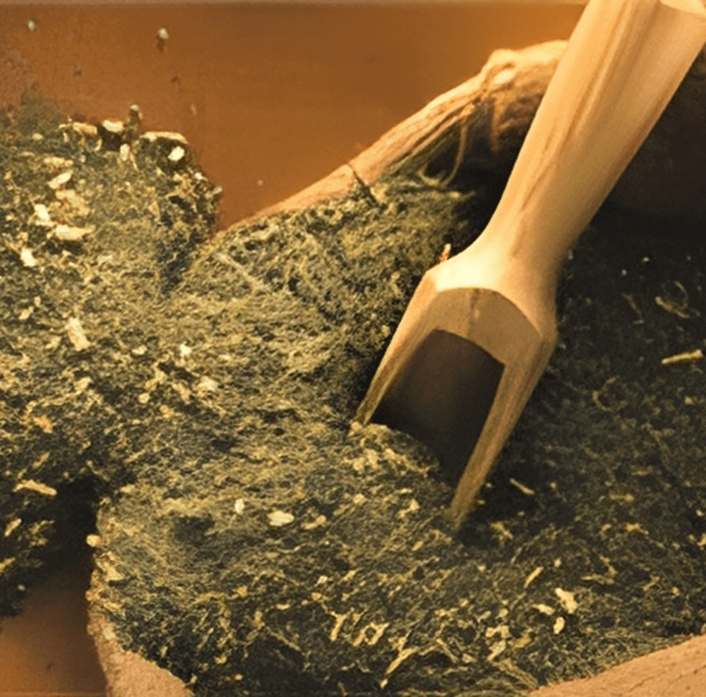 Mate (Yerba Mate)