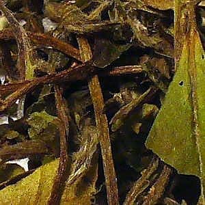 Close-up of dried tea leaves with a green leaf.