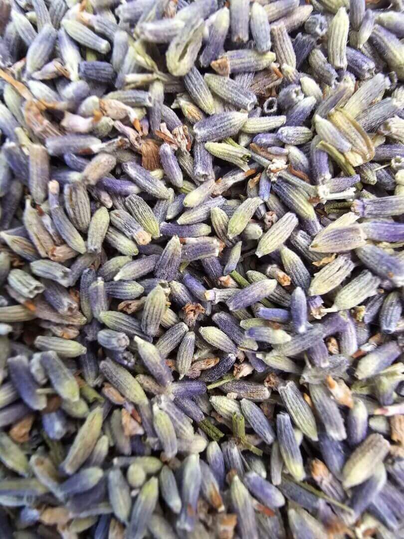 Close-up of dried lavender buds with purple hues.