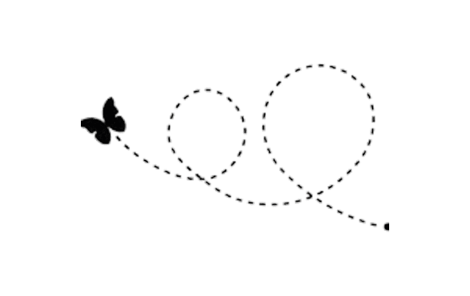 Butterfly with dotted flight path pattern.